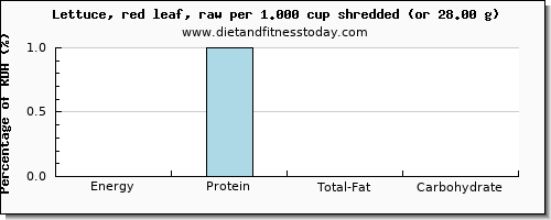 energy and nutritional content in calories in lettuce